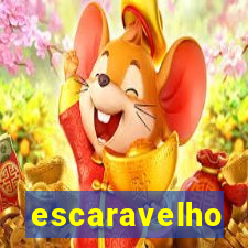 escaravelho significado espiritual